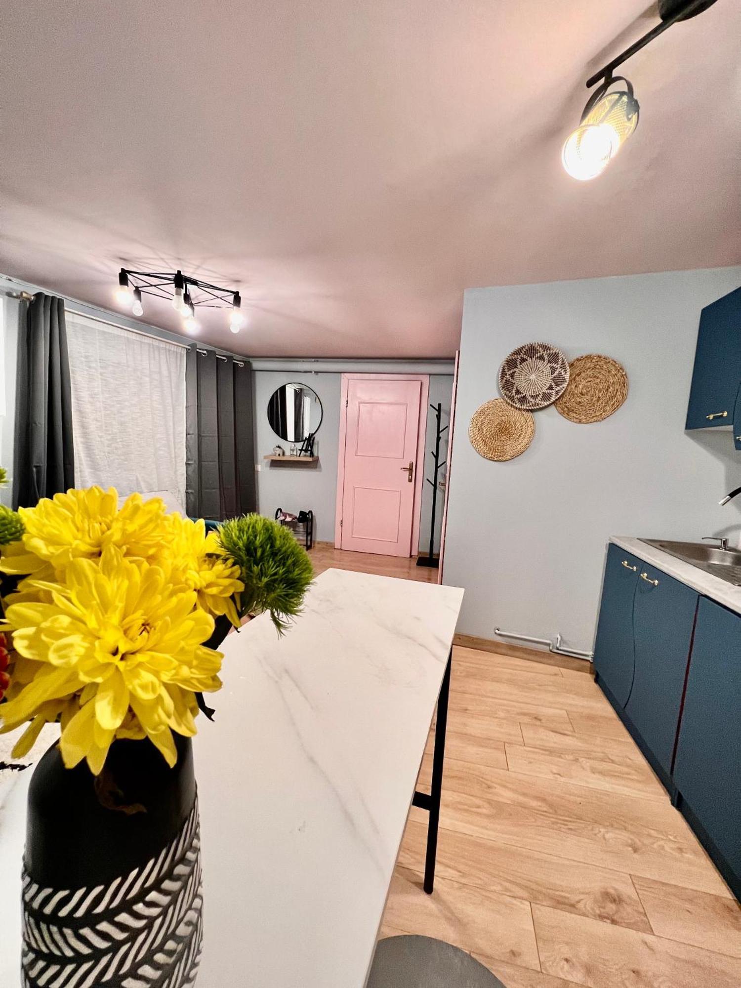 Old Town City Center Apartments Брашов Екстер'єр фото